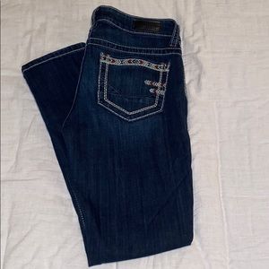 Daytrip Skinny Jeans